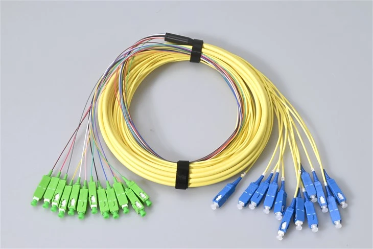 12 Core Patch Cord SC UPC rau SC APC